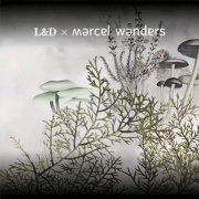 LD x Marcel Wanders 大师系列 | 优雅与自信的独特呈现